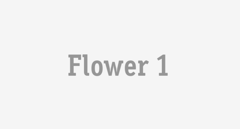 Flower 1