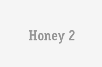 Honey 2