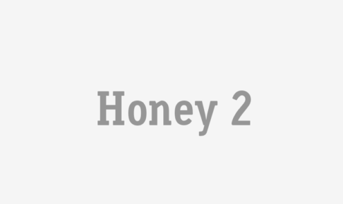 Honey 2