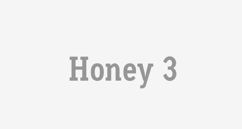 Honey 3